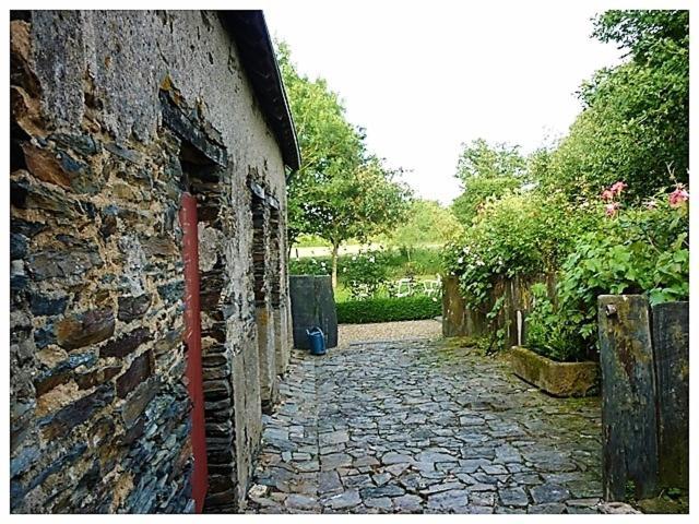 Bed and Breakfast La Veillonnais Angrie Exterior foto
